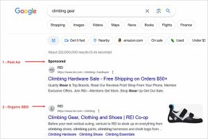 how company websites can display for search results